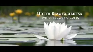 Цзе Кун. Цигун Белого цветка
