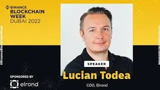 Lucian (Co-founder of Elrond Network) talked about next step in the evolution of payments 🔥