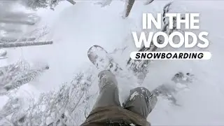In The Woods | 4k POV