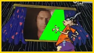𝐓𝐡𝐞 𝐖𝐢𝐧𝐝𝐨𝐰 (including Green Screen)