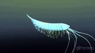 500 Million Year Old Arthropod Discovered - See How It Swam | Animation