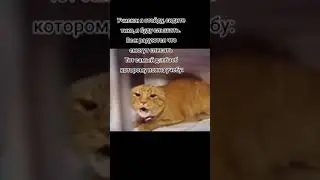 АХАХАХХВ☠️ #shorts #meme #memes