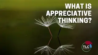 What is Appreciative Thinking