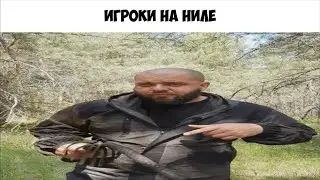 Коротко о Лиге Легенд
