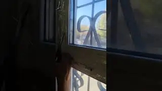 Натяжные окна. Китай рулит...