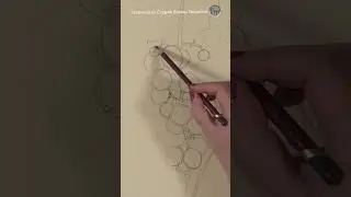 Vine. Pastel 