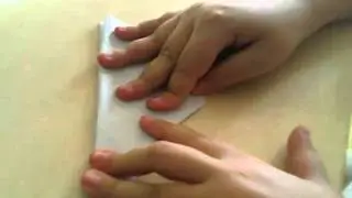 Worlds Best Paper Plane
