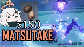 Transmutador paramétrico ◈「 Matsutake 」 Genshin Impact