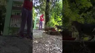 Мой каждый день😌 (my every day)