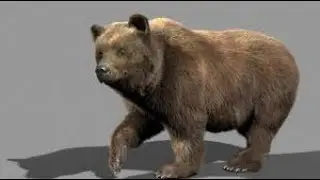 Creating Generic Animal AI Bear Enemy | Shekari PC Game Built In Unity Complete Course Part - 6