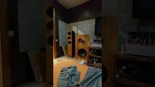 Zingali прослушивание