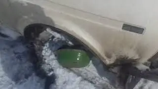 Лютая нива из Тимирязево