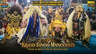 Tari Jaran Masal Rewo Rewo Krido SIngo Manggolo Live Ngerjo Ringinarum 7/9/2024 Terbaru