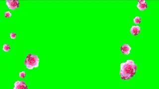 ФУТАЖ Розы падают (хромакей) - Footage Roses fall (chromakey)