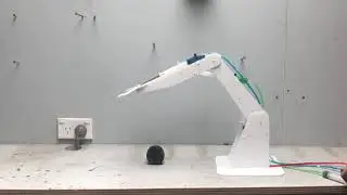 Syringe powered robot assembly