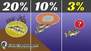 The RISKY Strategy Pros Are Using to WIN Big Tournaments in 2024 | FTM Livestream #148
