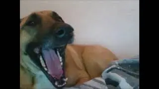 I was born this way (Rap)