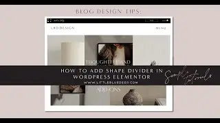 How to Add Shape Divider in Elementor Wordpress Page Builder