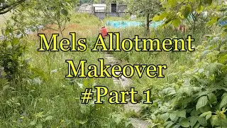 Mel's allotment makeover part #1