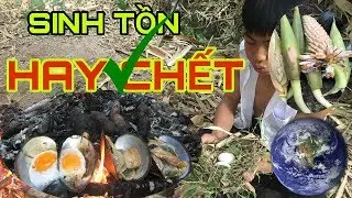 Survival Between Nature - Thử Thách Sinh Tồn Trong Rừng ( Núi Rừng Tây Bắc )