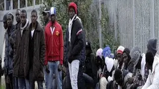 IMMIGRATO PESTA A SANGUE AUTISTA DI TRENO! NON GUARDATE SE SIETE DEBOLI DI CUORE