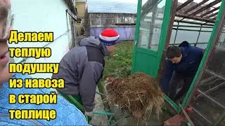 Работаем в старой теплице. Делаем теплую подушку из навоза. Везде крапива. Буду думать, что посадить