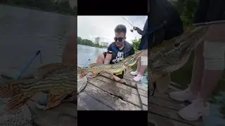 ЩУКК МОНСТР. ЧУТЬ НЕ ВЛЕЗЛА В ДВА ПОДСАКА🤯. 