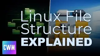 Linux File Structure Explained | Root Directory, Paths, and Essential Commands