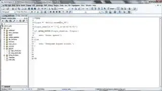 PHP РАБОТА С РЕГУЛЯРНЫМИ ВЫРАЖЕНИЯМИ. Пример регулярного выражения для проверки имени пользователя