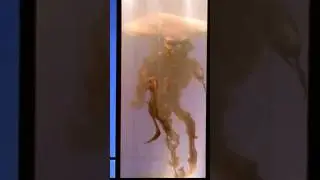 AREA 51 Even PRESIDENTS wants to know about ALIENS #shorts #aliens #area51