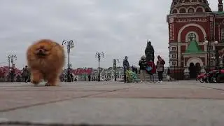 Арчи и город