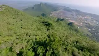 Dives