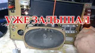 Первое включение Океана-209 после ремонта БП и УНЧ.