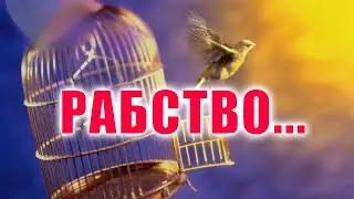 РАБСТВО... Очень трогательный стих! В красивой клетке ласточка жила...  Любовь Фёдоровна Васенина