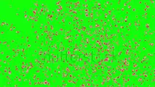 Firework Green screen effect