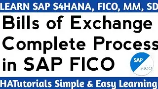 Bills of Exchange Process in SAP S4HANA FICO | SAP FICO Bills of Exchange