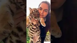Красивый тигреночек? 🥰