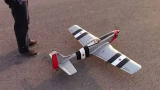 BHF Ömer Erkan P51 Mustang