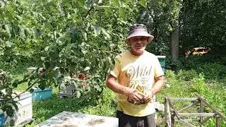Главный взяток, матководство и воспитание в нижнем корпусе :))
