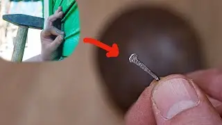 Secret of the Common Nail.