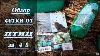 Review of the berry protection net from birds BIRD NET 5x10m for $4 / how to install a net from b...