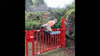 The Great Gate Jump
