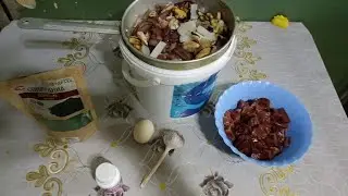 фарш для дискусов.