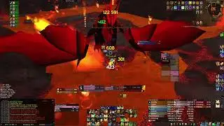 Literally unkillable paladin solos 10 man OS 2 drake