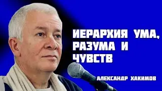 Иерархия ума, разума и чувств. Александр Хакимов