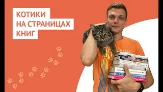 Котики на страницах книг