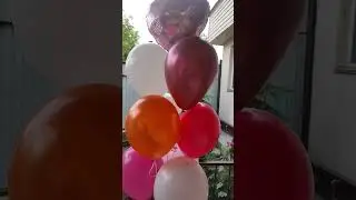 #shortvideo #ballons #заработок #воздушныешары