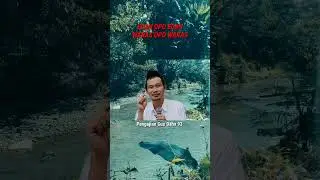 GUS BAHA// EDAN OPO EDAN, wWARES6