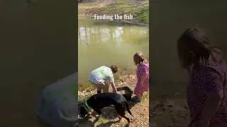 Kiddos keeping the fish fed! #fishing #pondlife #outdoors #prouddad #fishinglife