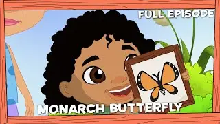 Darwin and Newts | Monarch Butterfly
